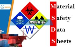 mdsd-la-gi-00.jpg