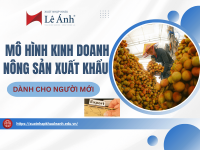 mo-hinh-kinh-danh-nong-san-xuat-khau.png
