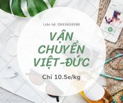 Vận chuyển việt-đức.jpg