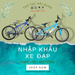 thu-tuc-nhap-khau-xe-dap (1).png
