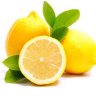 F. Lemon