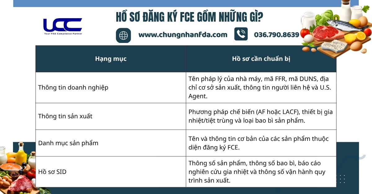 Hồ sơ đăng ký FCE gồm những gì?