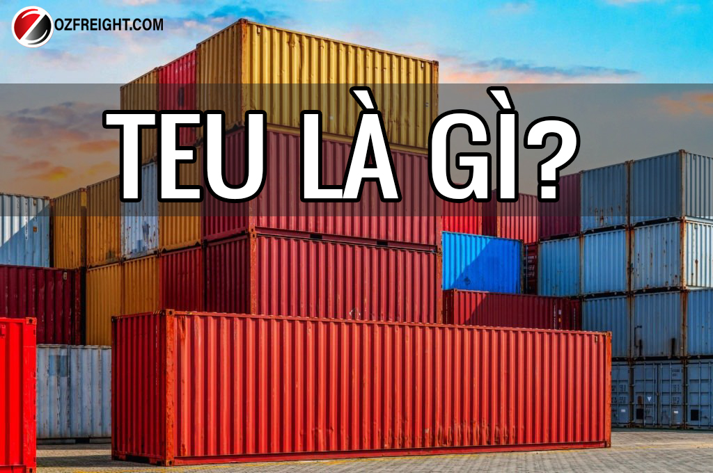 TEU là gì