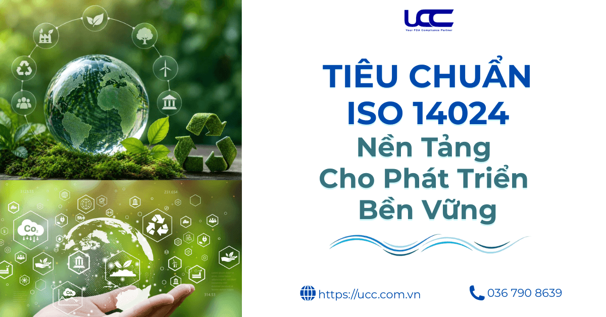 Tiêu Chuẩn ISO 14024 Là Gì? Lịch Sử Ra Đời Và Lợi Ích Cho Doanh Nghiệp