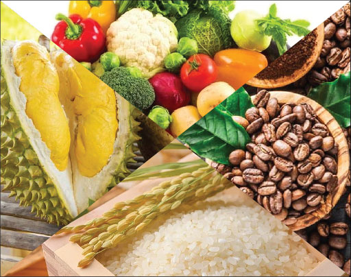 quy-trinh-xuat-khau-nong-san