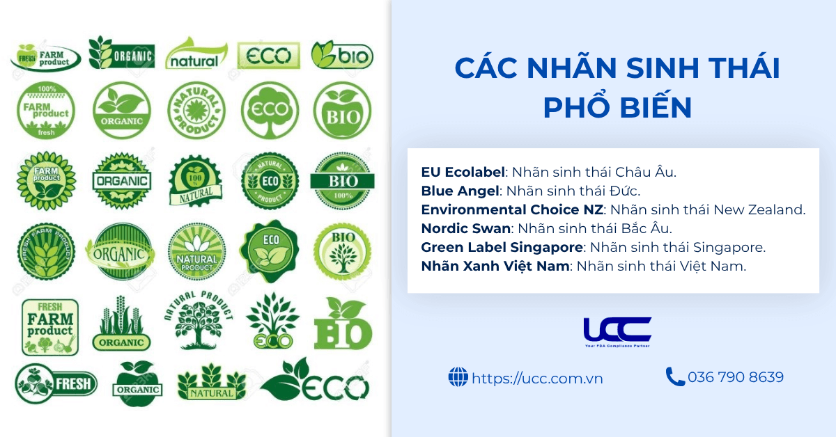 Các nhãn sinh thái phổ biến theo chứng nhận ISO 14024