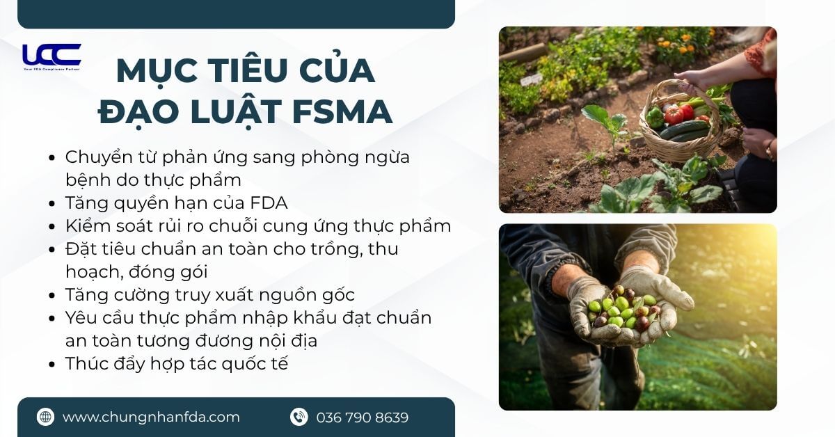 Mục tiêu của luật FSMA Mục tiêu của luật FSMA