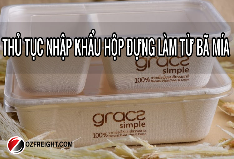 thủ tục nhập khẩu hộp đựng bã mía thủ tục nhập khẩu hộp đựng bã mía